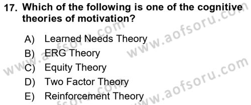 Human Resource Management Dersi 2022 - 2023 Yılı Yaz Okulu Sınav Soruları 17. Soru