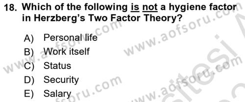 Human Resource Management Dersi 2022 - 2023 Yılı Yaz Okulu Sınav Soruları 18. Soru