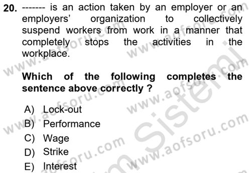 Human Resource Management Dersi 2022 - 2023 Yılı Yaz Okulu Sınav Soruları 20. Soru