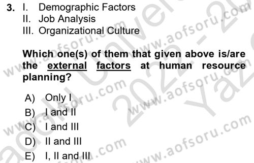 Human Resource Management Dersi 2022 - 2023 Yılı Yaz Okulu Sınav Soruları 3. Soru