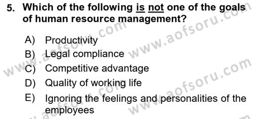 Human Resource Management Dersi 2023 - 2024 Yılı (Vize) Ara Sınav Soruları 5. Soru