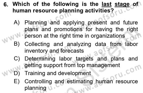 Human Resource Management Dersi 2023 - 2024 Yılı (Vize) Ara Sınav Soruları 6. Soru