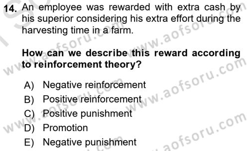 Human Resource Management Dersi 2023 - 2024 Yılı (Final) Dönem Sonu Sınav Soruları 14. Soru