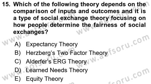 Human Resource Management Dersi 2023 - 2024 Yılı (Final) Dönem Sonu Sınav Soruları 15. Soru