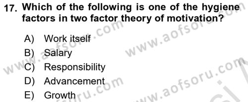 Human Resource Management Dersi 2023 - 2024 Yılı (Final) Dönem Sonu Sınav Soruları 17. Soru