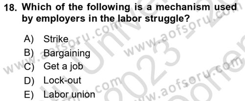 Human Resource Management Dersi 2023 - 2024 Yılı (Final) Dönem Sonu Sınav Soruları 18. Soru