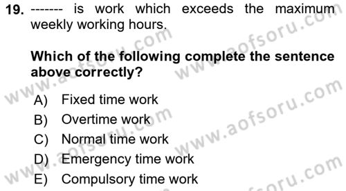 Human Resource Management Dersi 2023 - 2024 Yılı (Final) Dönem Sonu Sınav Soruları 19. Soru