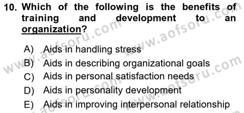 Human Resource Management Dersi 2023 - 2024 Yılı Yaz Okulu Sınav Soruları 10. Soru