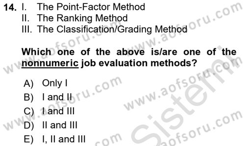 Human Resource Management Dersi 2023 - 2024 Yılı Yaz Okulu Sınav Soruları 14. Soru