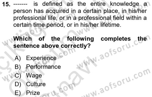 Human Resource Management Dersi 2023 - 2024 Yılı Yaz Okulu Sınav Soruları 15. Soru