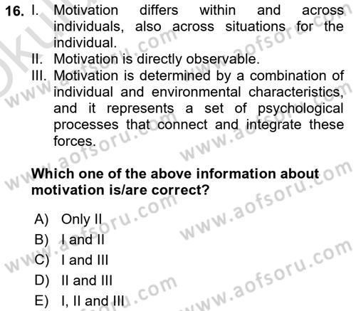 Human Resource Management Dersi 2023 - 2024 Yılı Yaz Okulu Sınav Soruları 16. Soru