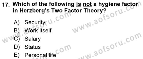 Human Resource Management Dersi 2023 - 2024 Yılı Yaz Okulu Sınav Soruları 17. Soru