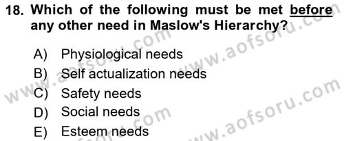 Human Resource Management Dersi 2023 - 2024 Yılı Yaz Okulu Sınav Soruları 18. Soru