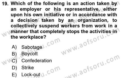 Human Resource Management Dersi 2023 - 2024 Yılı Yaz Okulu Sınav Soruları 19. Soru