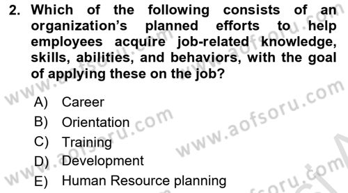 Human Resource Management Dersi 2023 - 2024 Yılı Yaz Okulu Sınav Soruları 2. Soru