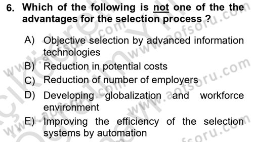 Human Resource Management Dersi 2023 - 2024 Yılı Yaz Okulu Sınav Soruları 6. Soru
