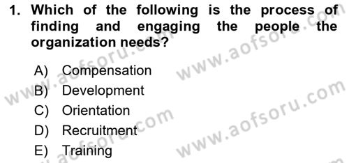 Human Resource Management Dersi 2024 - 2025 Yılı (Vize) Ara Sınav Soruları 1. Soru