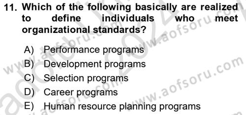 Human Resource Management Dersi 2024 - 2025 Yılı (Vize) Ara Sınav Soruları 11. Soru