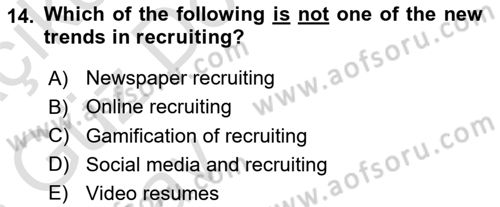 Human Resource Management Dersi 2024 - 2025 Yılı (Vize) Ara Sınav Soruları 14. Soru