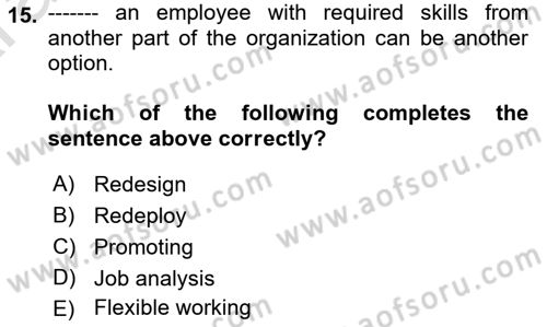 Human Resource Management Dersi 2024 - 2025 Yılı (Vize) Ara Sınav Soruları 15. Soru