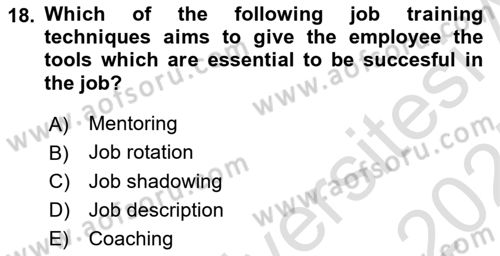 Human Resource Management Dersi 2024 - 2025 Yılı (Vize) Ara Sınav Soruları 18. Soru