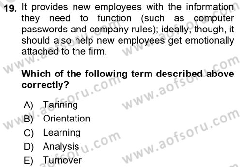 Human Resource Management Dersi 2024 - 2025 Yılı (Vize) Ara Sınav Soruları 19. Soru