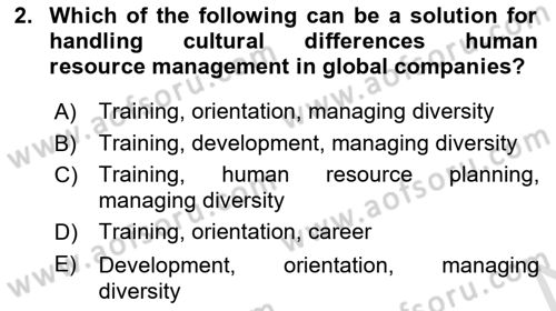 Human Resource Management Dersi 2024 - 2025 Yılı (Vize) Ara Sınav Soruları 2. Soru