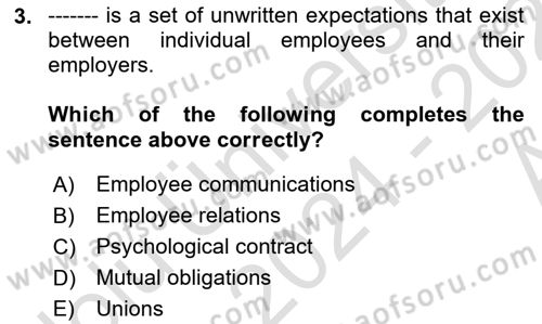 Human Resource Management Dersi 2024 - 2025 Yılı (Vize) Ara Sınav Soruları 3. Soru