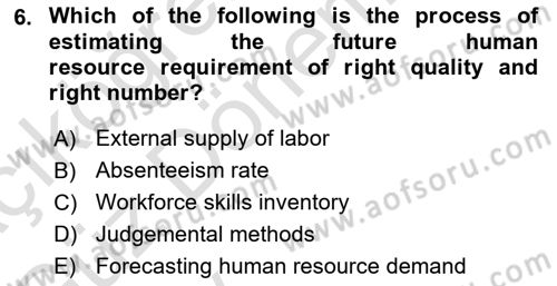 Human Resource Management Dersi 2024 - 2025 Yılı (Vize) Ara Sınav Soruları 6. Soru