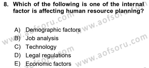 Human Resource Management Dersi 2024 - 2025 Yılı (Vize) Ara Sınav Soruları 8. Soru