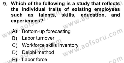 Human Resource Management Dersi 2024 - 2025 Yılı (Vize) Ara Sınav Soruları 9. Soru