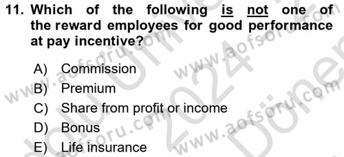 Human Resource Management Dersi 2024 - 2025 Yılı (Final) Dönem Sonu Sınav Soruları 11. Soru