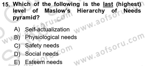Human Resource Management Dersi 2024 - 2025 Yılı (Final) Dönem Sonu Sınav Soruları 15. Soru
