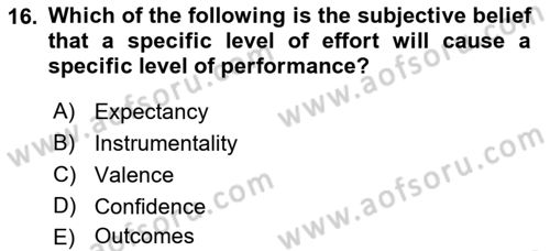 Human Resource Management Dersi 2024 - 2025 Yılı (Final) Dönem Sonu Sınav Soruları 16. Soru