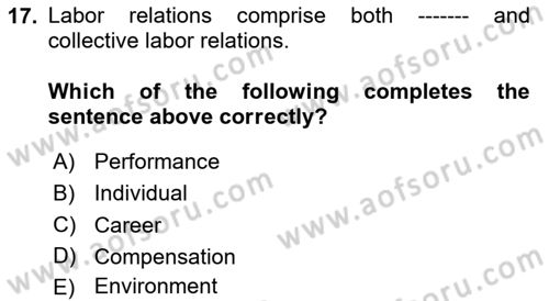 Human Resource Management Dersi 2024 - 2025 Yılı (Final) Dönem Sonu Sınav Soruları 17. Soru