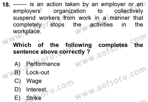 Human Resource Management Dersi 2024 - 2025 Yılı (Final) Dönem Sonu Sınav Soruları 18. Soru