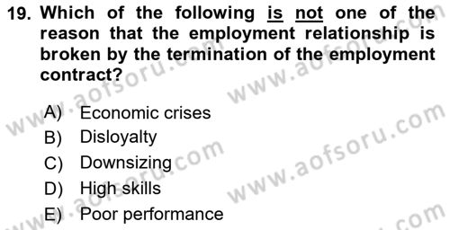 Human Resource Management Dersi 2024 - 2025 Yılı (Final) Dönem Sonu Sınav Soruları 19. Soru
