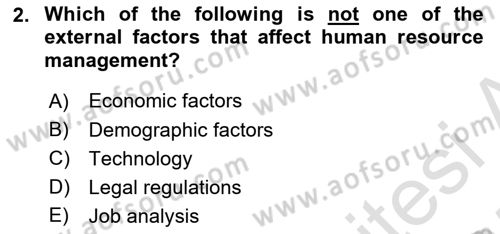 Human Resource Management Dersi 2024 - 2025 Yılı (Final) Dönem Sonu Sınav Soruları 2. Soru