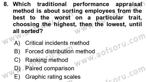 Human Resource Management Dersi 2024 - 2025 Yılı (Final) Dönem Sonu Sınav Soruları 8. Soru