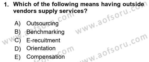 Human Resource Management Dersi 2024 - 2025 Yılı Yaz Okulu Sınav Soruları 1. Soru