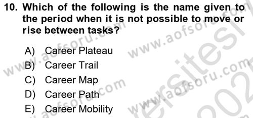 Human Resource Management Dersi 2024 - 2025 Yılı Yaz Okulu Sınav Soruları 10. Soru