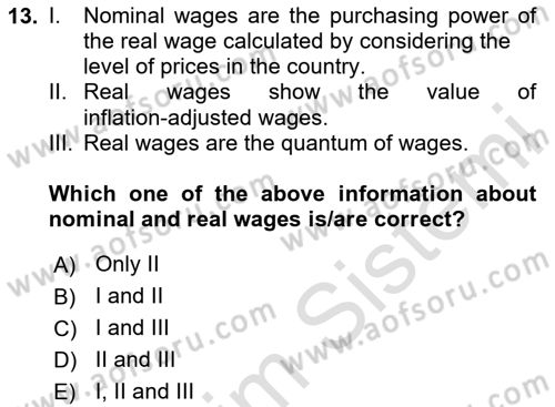 Human Resource Management Dersi 2024 - 2025 Yılı Yaz Okulu Sınav Soruları 13. Soru