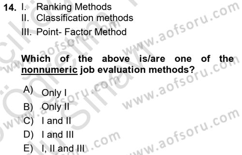 Human Resource Management Dersi 2024 - 2025 Yılı Yaz Okulu Sınav Soruları 14. Soru