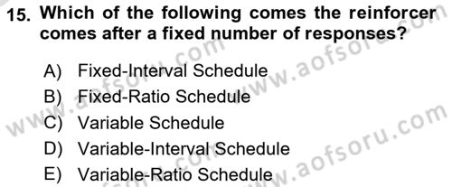 Human Resource Management Dersi 2024 - 2025 Yılı Yaz Okulu Sınav Soruları 15. Soru