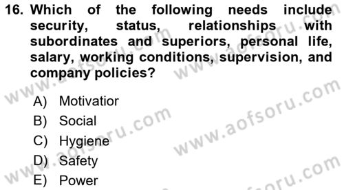 Human Resource Management Dersi 2024 - 2025 Yılı Yaz Okulu Sınav Soruları 16. Soru