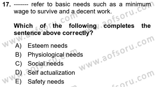 Human Resource Management Dersi 2024 - 2025 Yılı Yaz Okulu Sınav Soruları 17. Soru