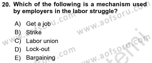 Human Resource Management Dersi 2024 - 2025 Yılı Yaz Okulu Sınav Soruları 20. Soru