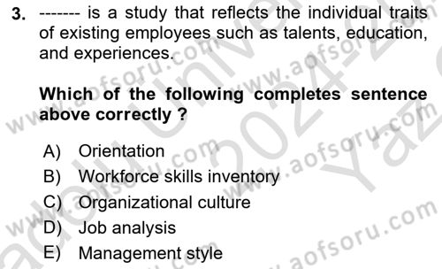 Human Resource Management Dersi 2024 - 2025 Yılı Yaz Okulu Sınav Soruları 3. Soru