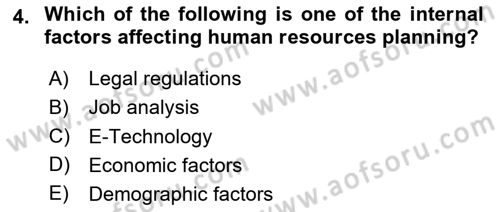 Human Resource Management Dersi 2024 - 2025 Yılı Yaz Okulu Sınav Soruları 4. Soru