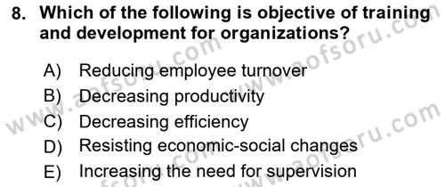 Human Resource Management Dersi 2024 - 2025 Yılı Yaz Okulu Sınav Soruları 8. Soru